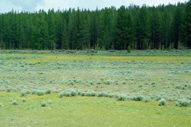 03 2015 06 04 to Medfd 005