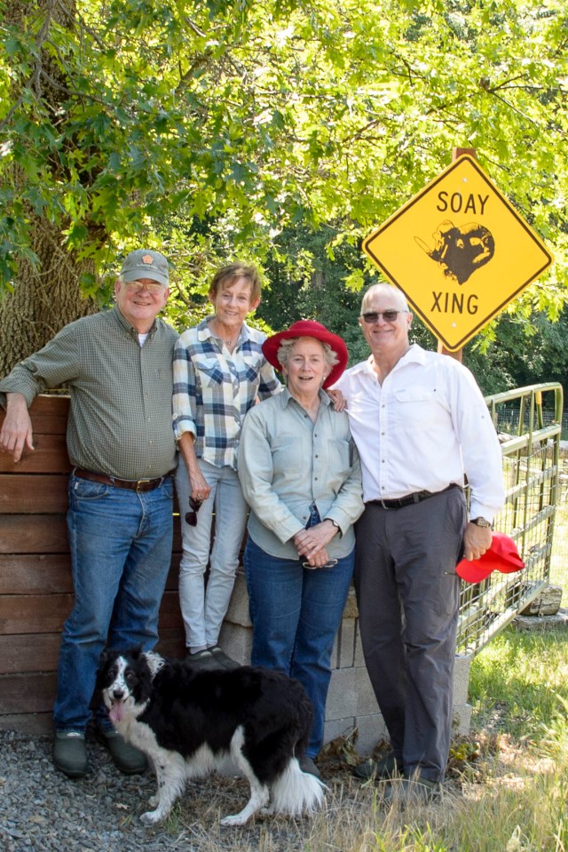 06 2015 06 06 Saltmarsh 008