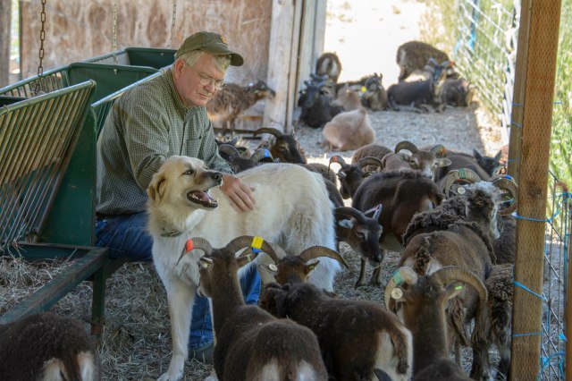 08 2015 06 06 Saltmarsh 005