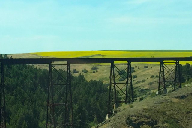 2015 06 27 to McCall 003