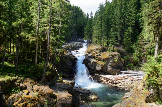 21 2015 06 13 Rainier 032