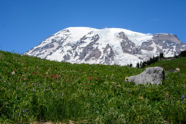 25 2015 06 14 Rainier 035