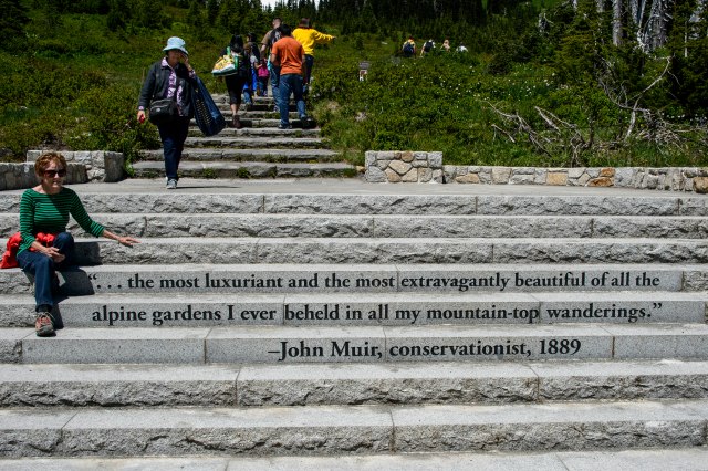 26 2015 06 14 Rainier 041