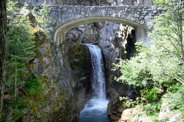 35 2015 06 14 Rainier 048