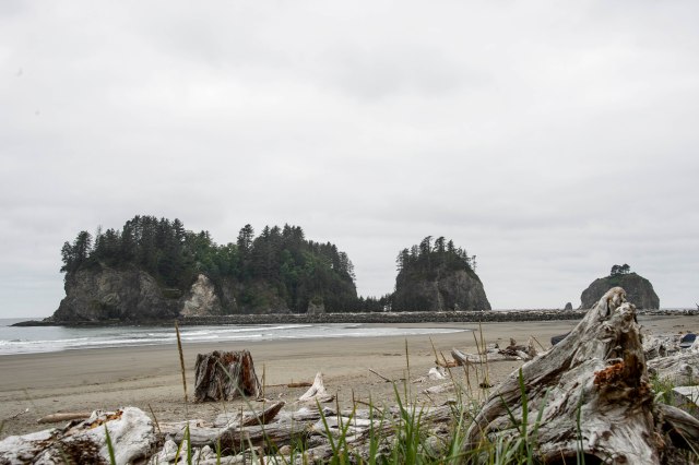 36 2015 06 16 OlyNP 007