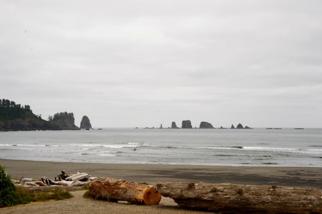 37 2015 06 16 OlyNP 017