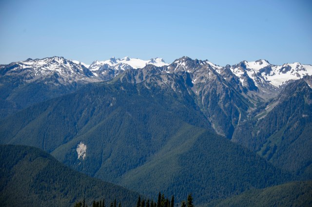 39 2015 06 17 OlyNP 012