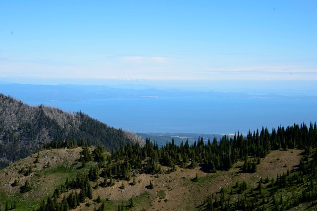 40 2015 06 17 OlyNP 004