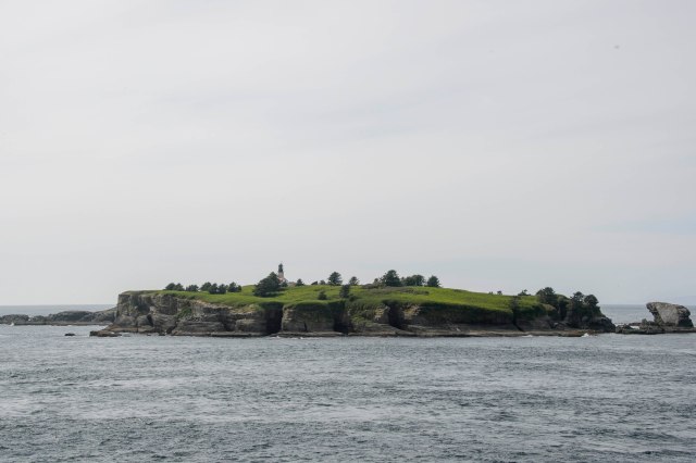 46 2015 06 16 OlyNP 046