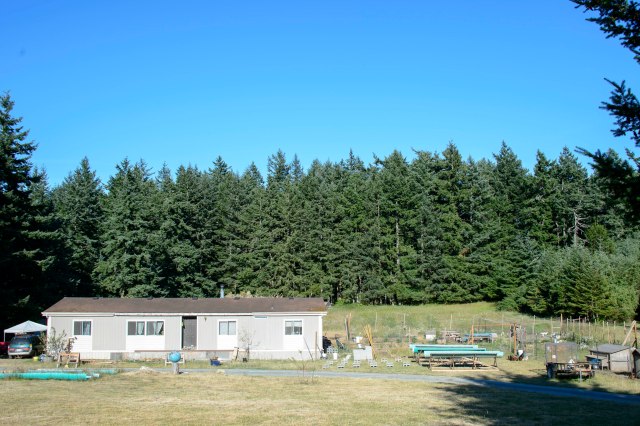 58 2015 06 21 Orcas 035