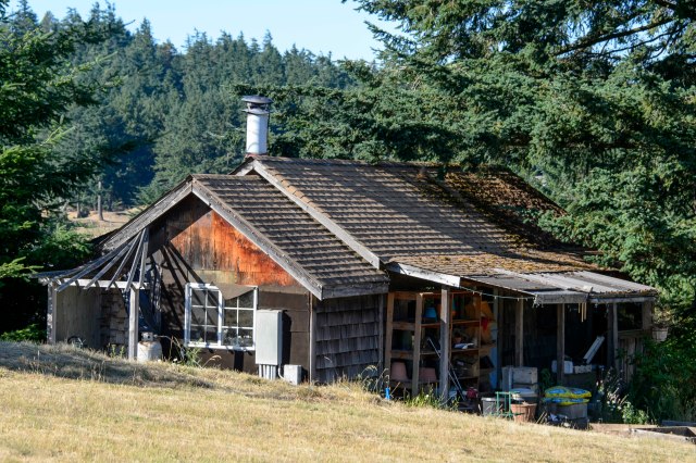 59 2015 06 21 Orcas 036