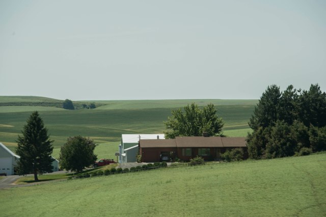 81 2015 06 27 to McCall 008