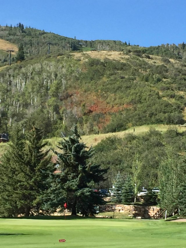 146 2015 08 06 Chgng colors