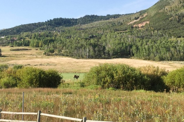 152 2015 08 29 Golf Hike Elk004