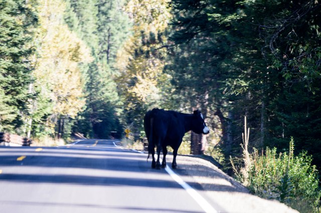 159 2015 09 11 HellsCyn Loop 022