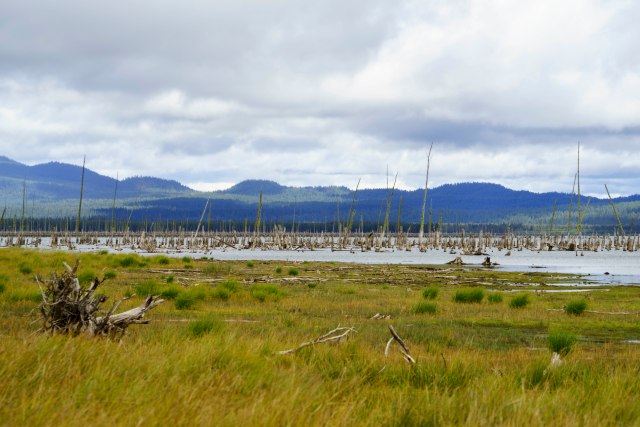 178 2015 09 17 Cascades Lake Loop 011