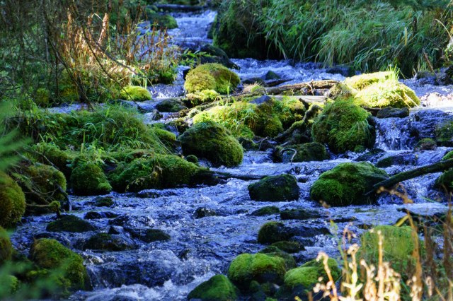 189 2015 09 19 Crater Lake 022