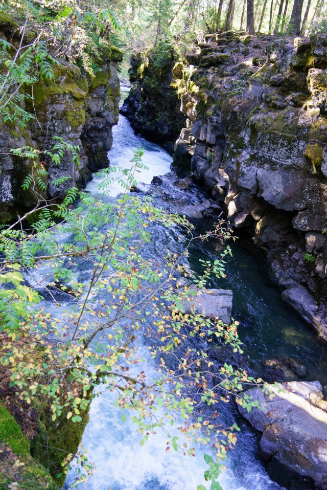 191 2015 09 19 Crater Lake 030