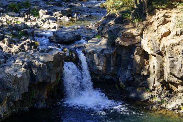 202 2015 09 26 Shasta 005