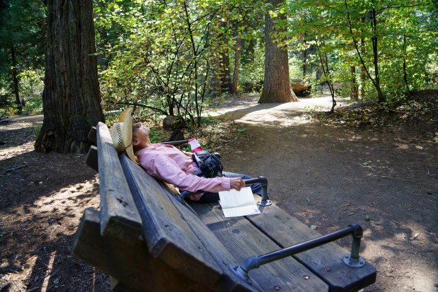 230 2015 10 7 Big Trees 008