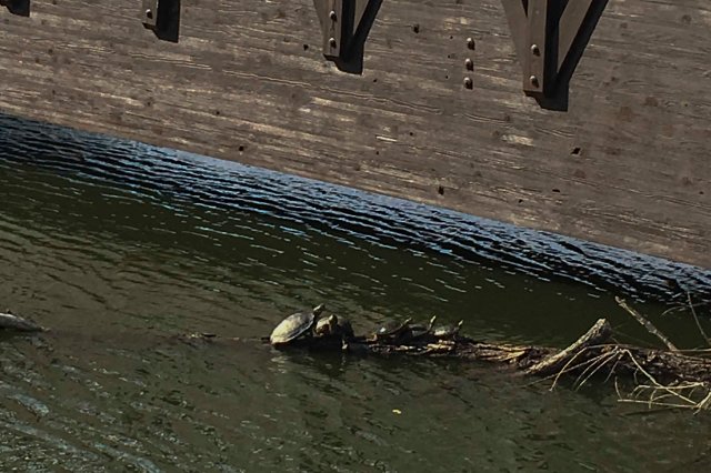 03 2015 11 2_5 Golf 005