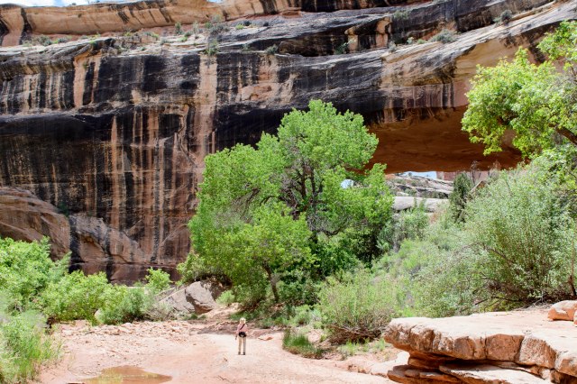 018 2016 05 29 Natl Bridge 041