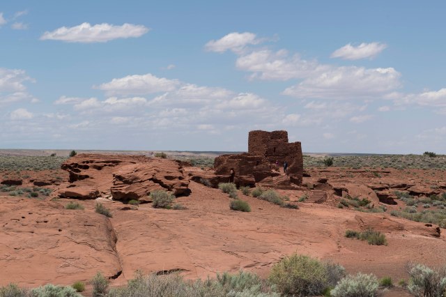 065 2016 05 24 c Wukoki 002