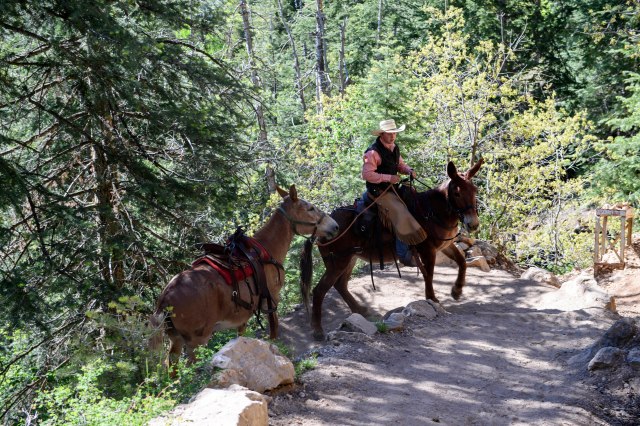 083 2016 06 01 a Kaibab 007