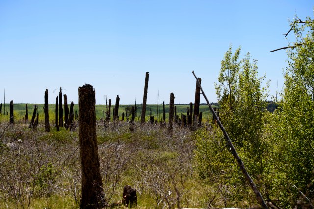 088 2016 06 01 b Insp Pt 008