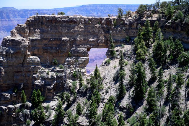 096 2016 06 02 a Cape Royal 016