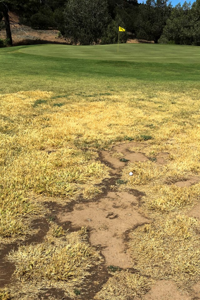 131 2016 06 13 Pay Show Meteor 005