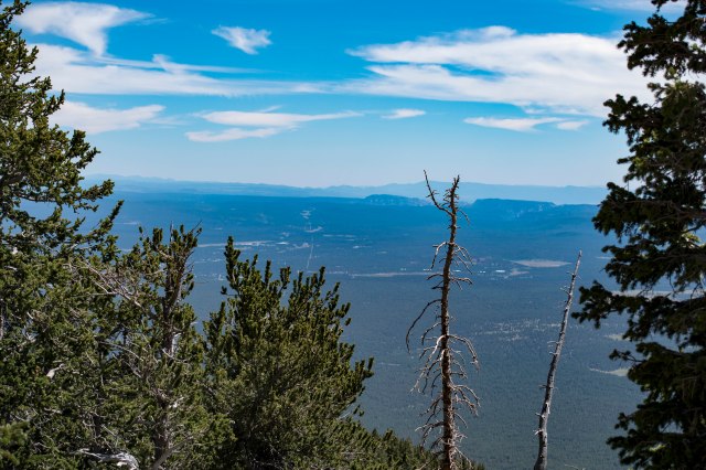 141 2016 06 18 Snowbowl005