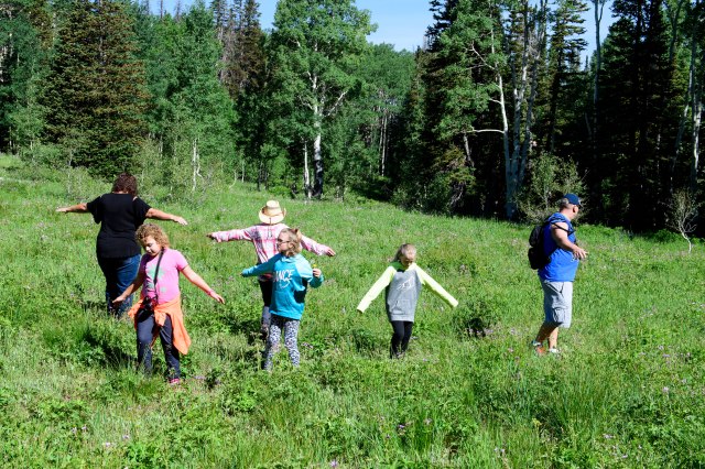 152 2016 07 02 Keith Mdw 014