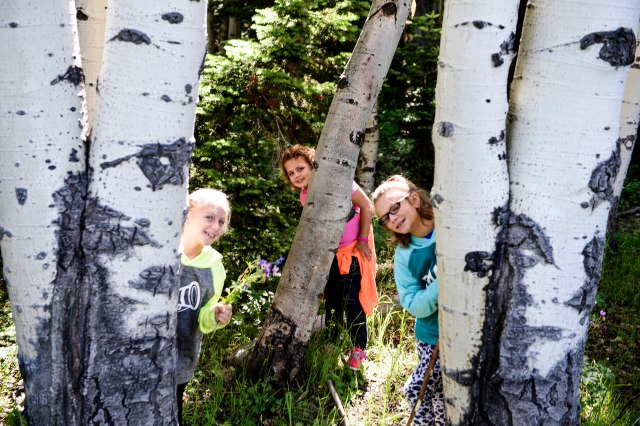 153 2016 07 02 Keith Mdw 016