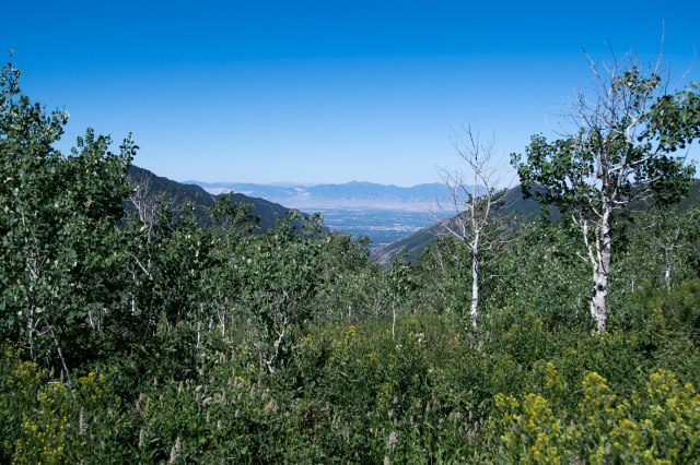 175 2016 07 23 Hike001