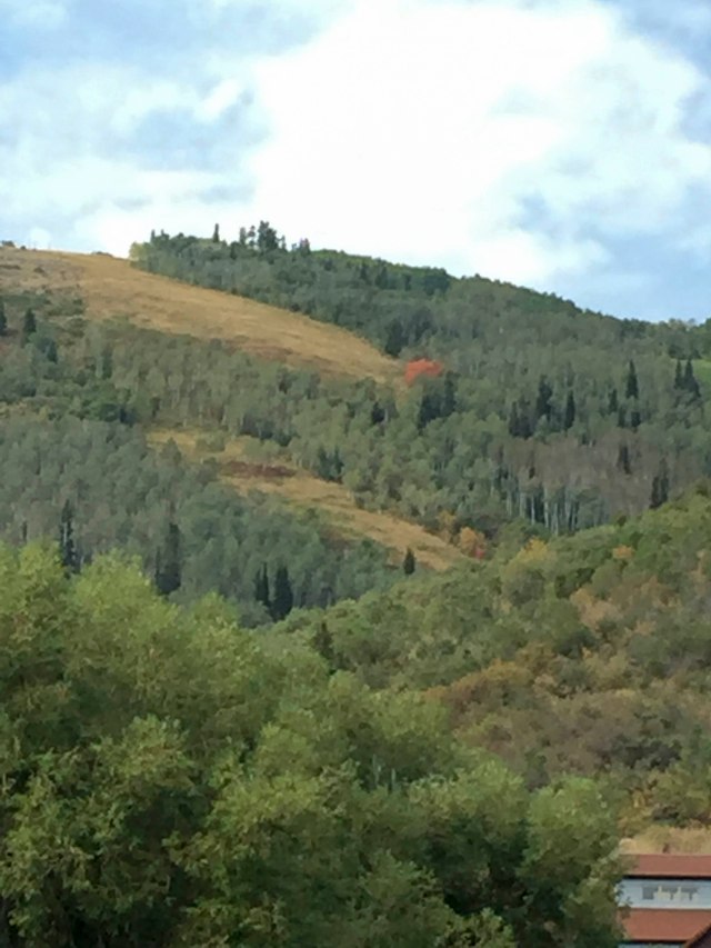 201 2018 08 18 PCGC golf001