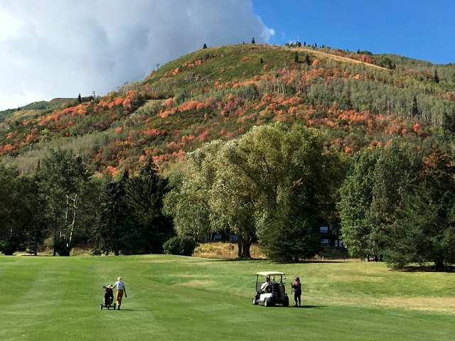 2016 09 02 PCGC colors 009