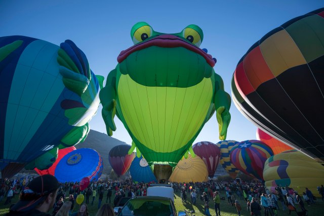234-2016-09-17-balfest-036