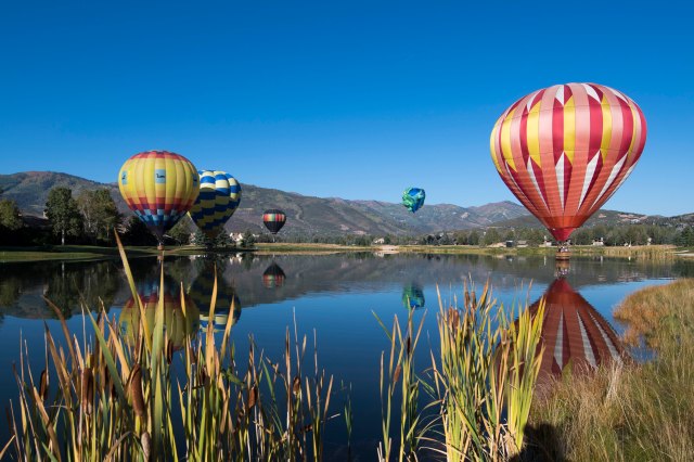 236-2016-09-17-balfest-029