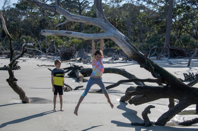 103 2019 05 08 Hunting Island005
