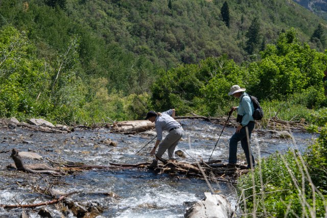 278 2019 07 25 Sundance 075