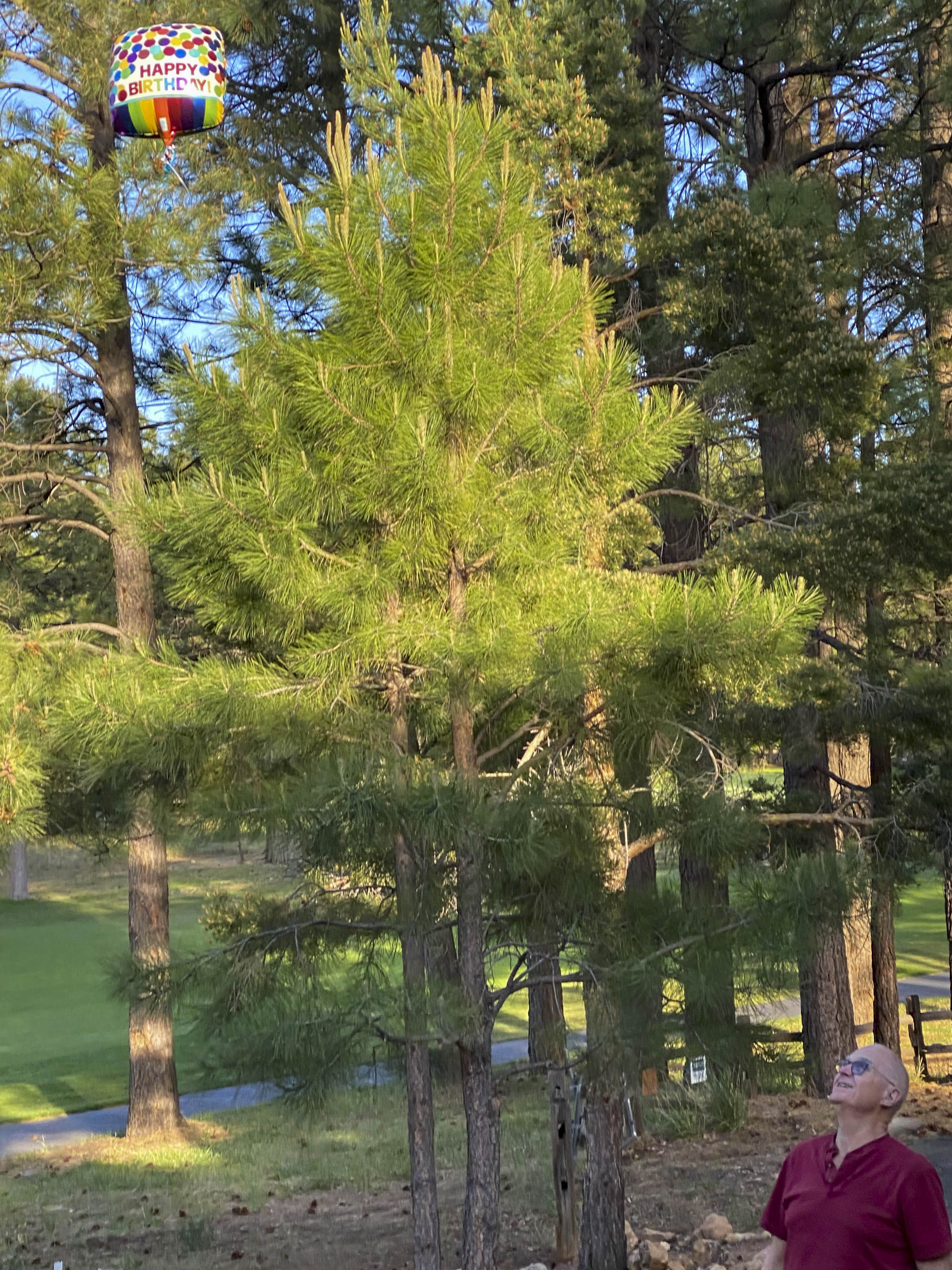 01 2020 05 31 KED Bal 001