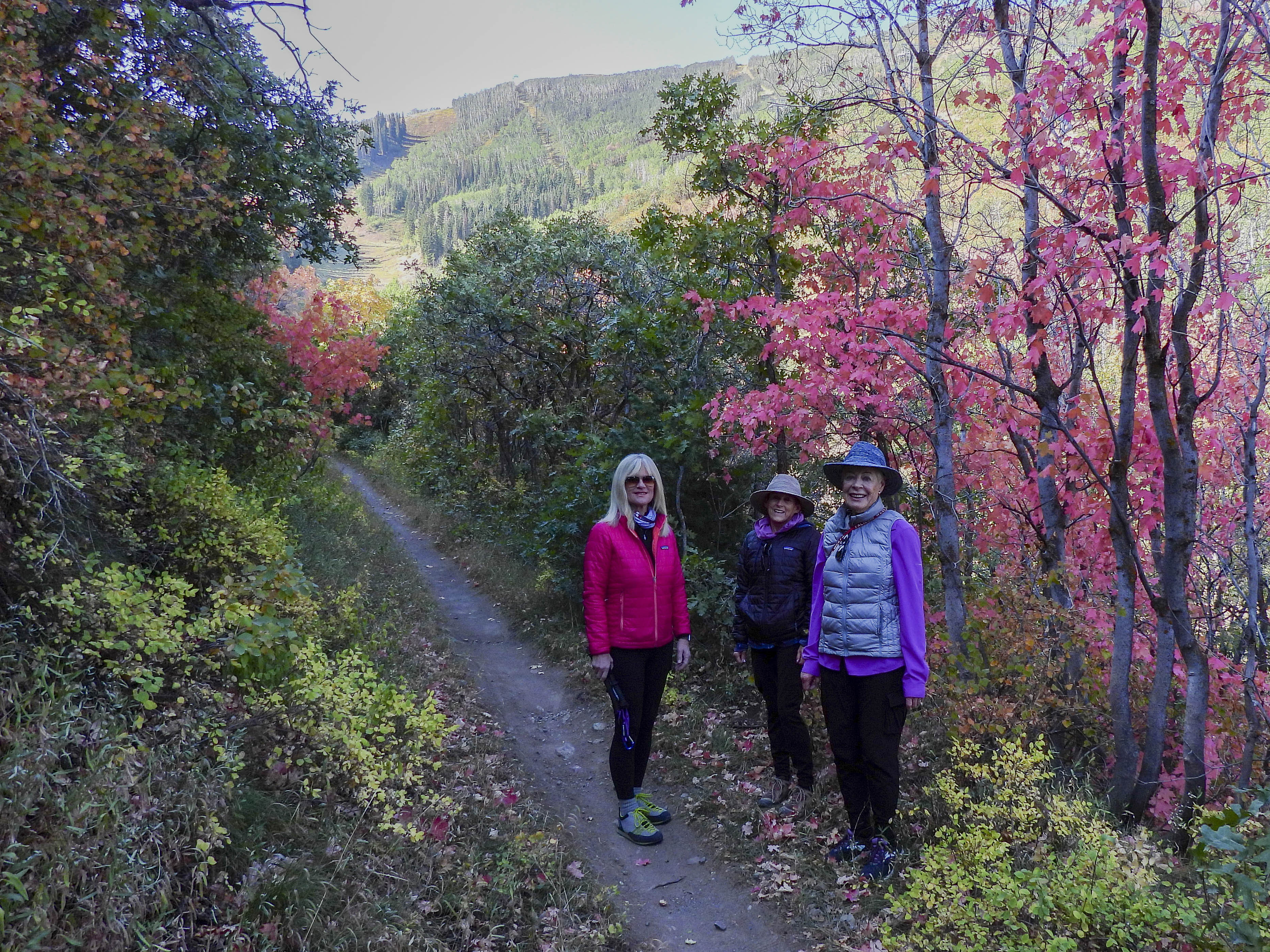 28 2020 09 10 Loose Moose005