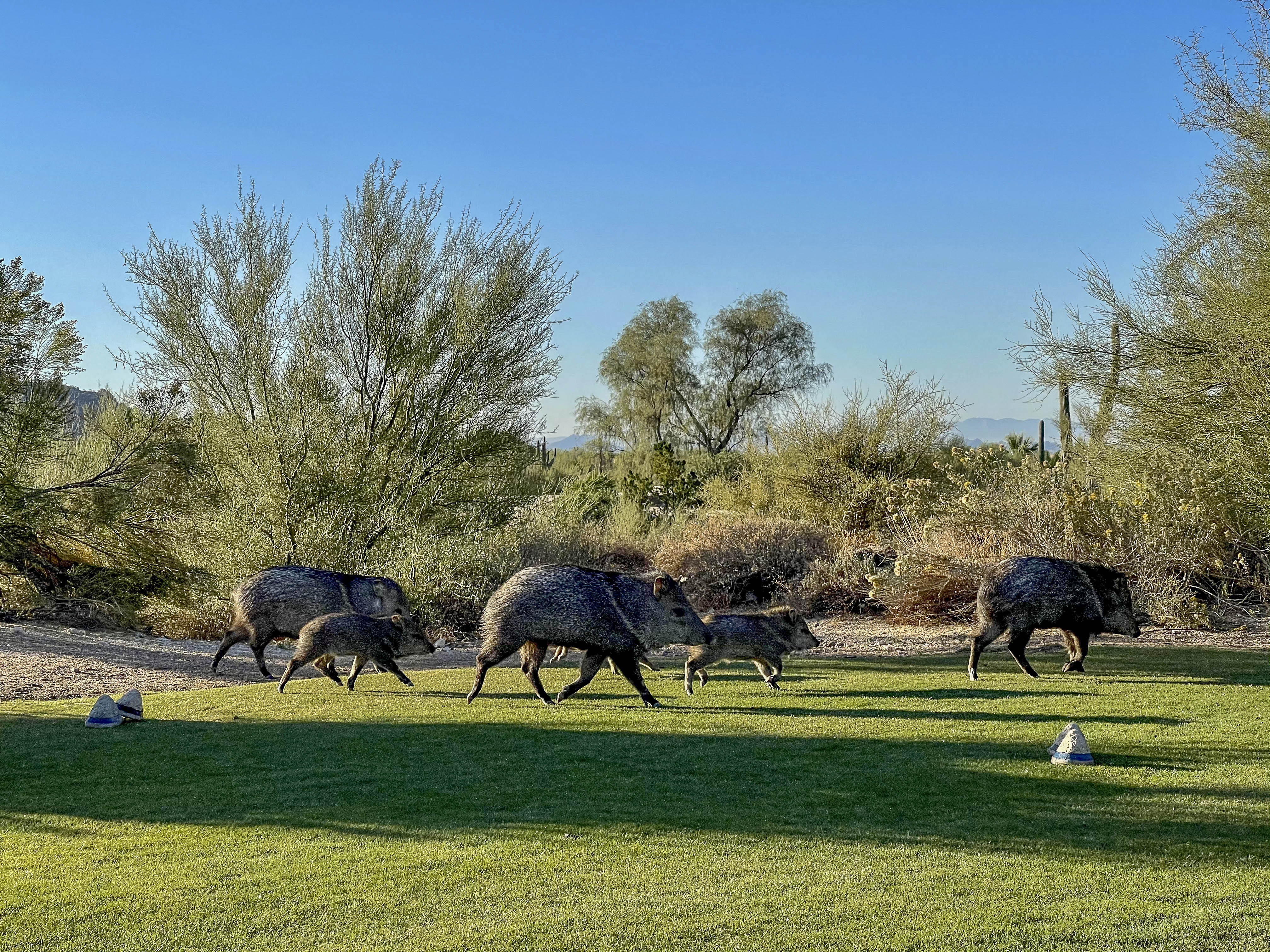 52 2020 11 19 Boulders003