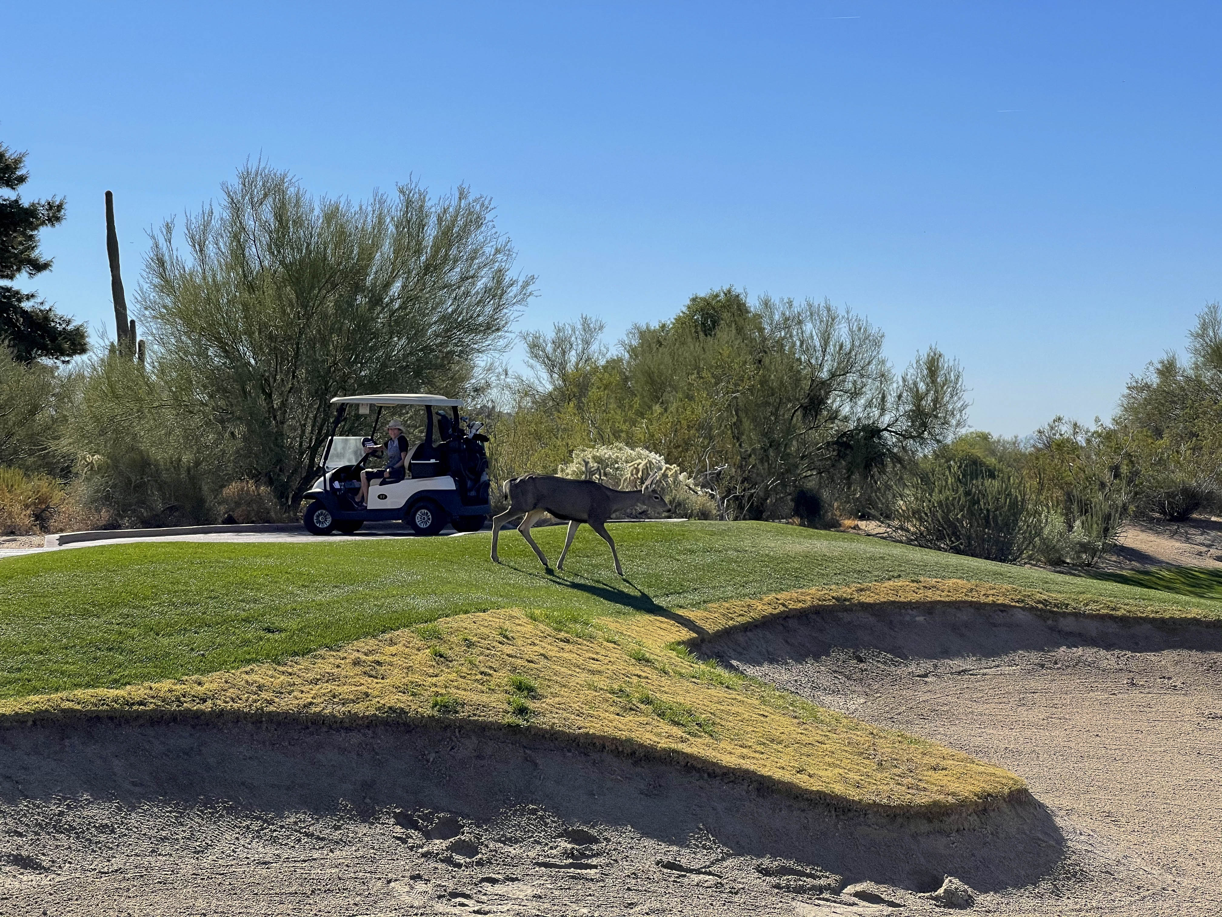 54 2020 11 19 Boulders007