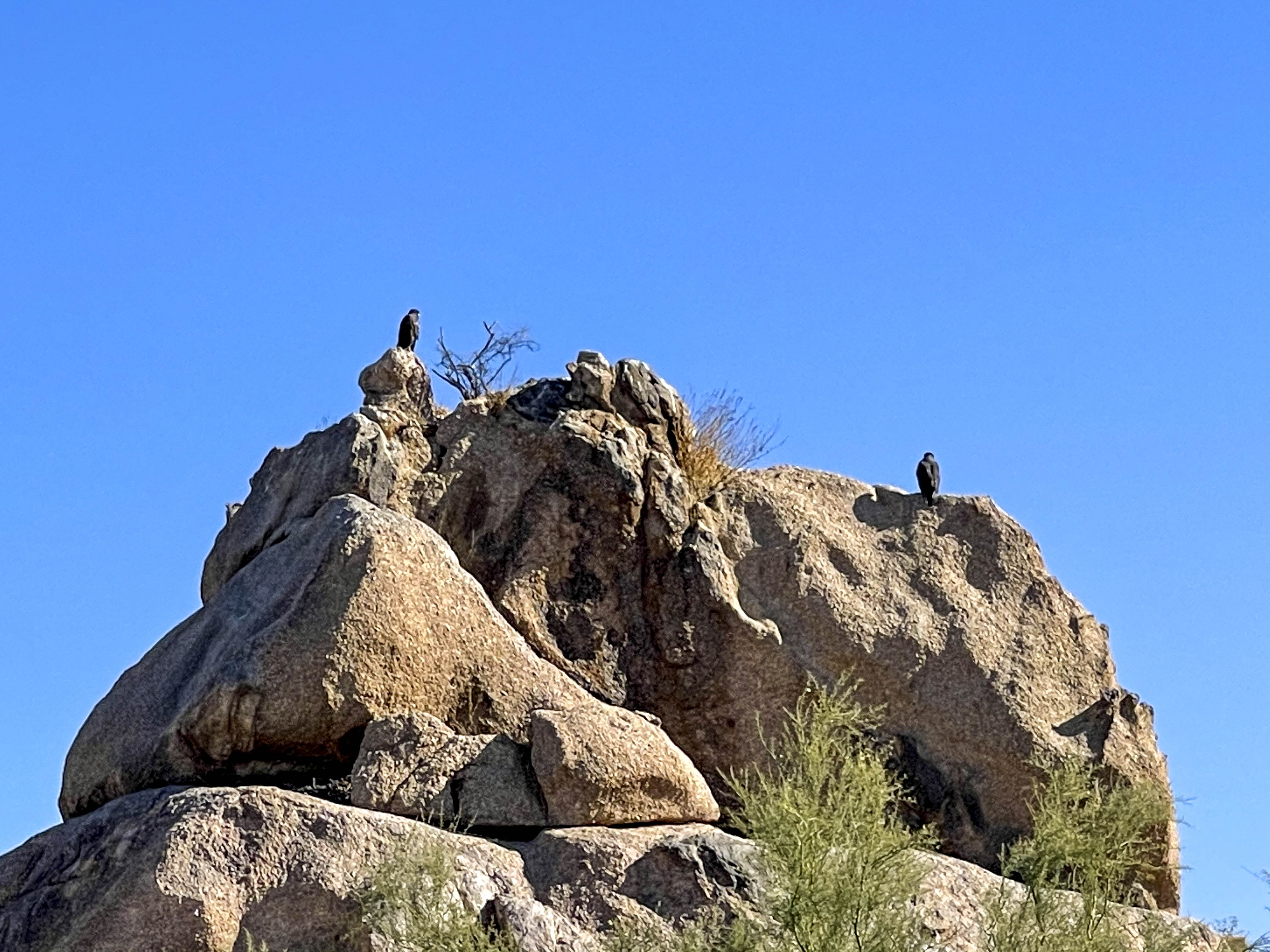 55 2020 11 26 Troon North004