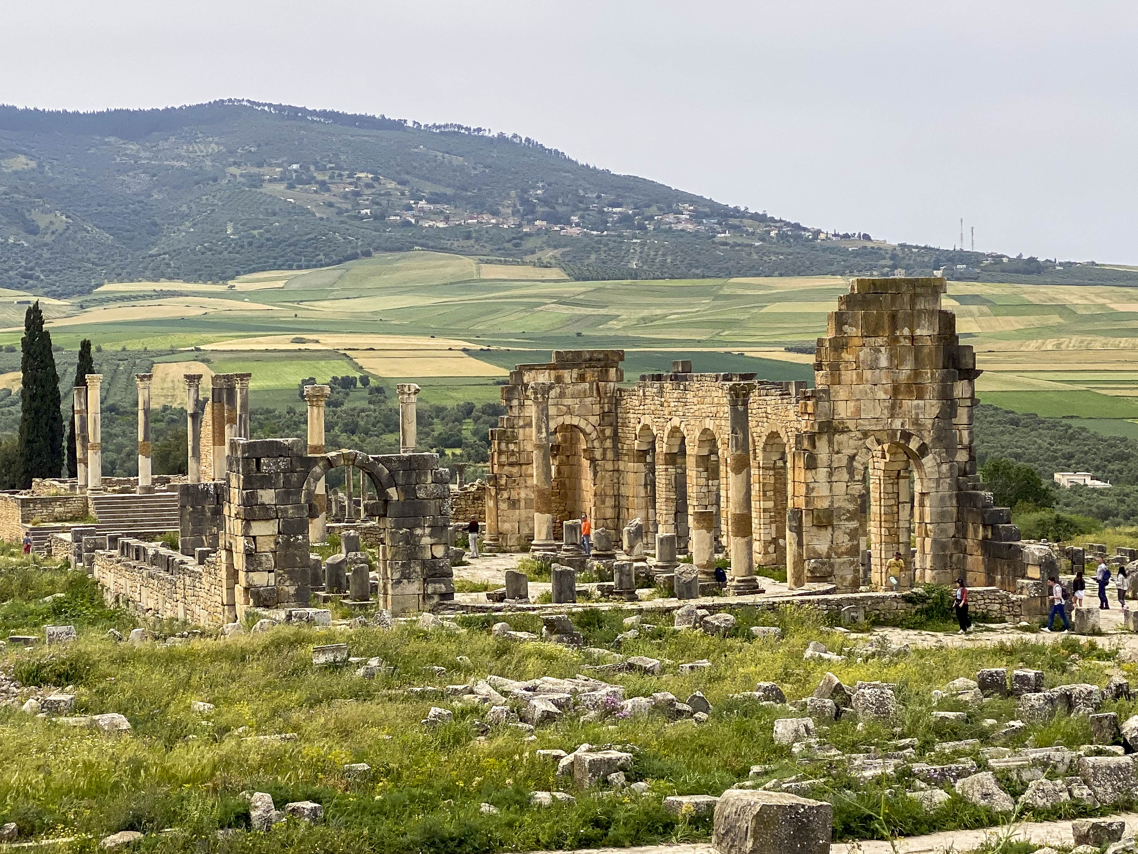Volbris Volubilis « Elizabeth & Gary's Magic Bus Tour